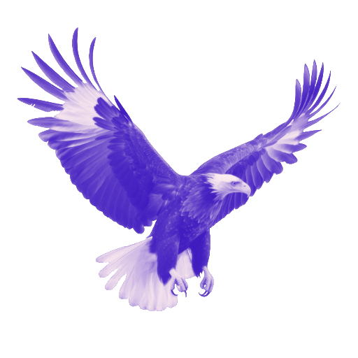 Scott Burnett, Director